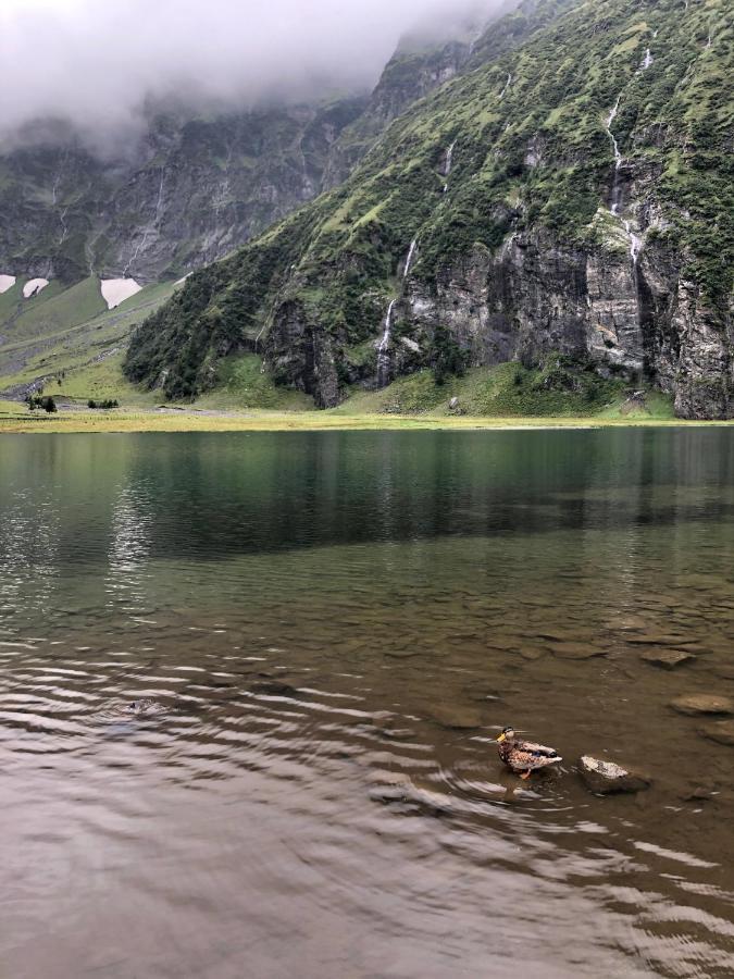 Gaestehaus Johannes Niedernsill Dış mekan fotoğraf